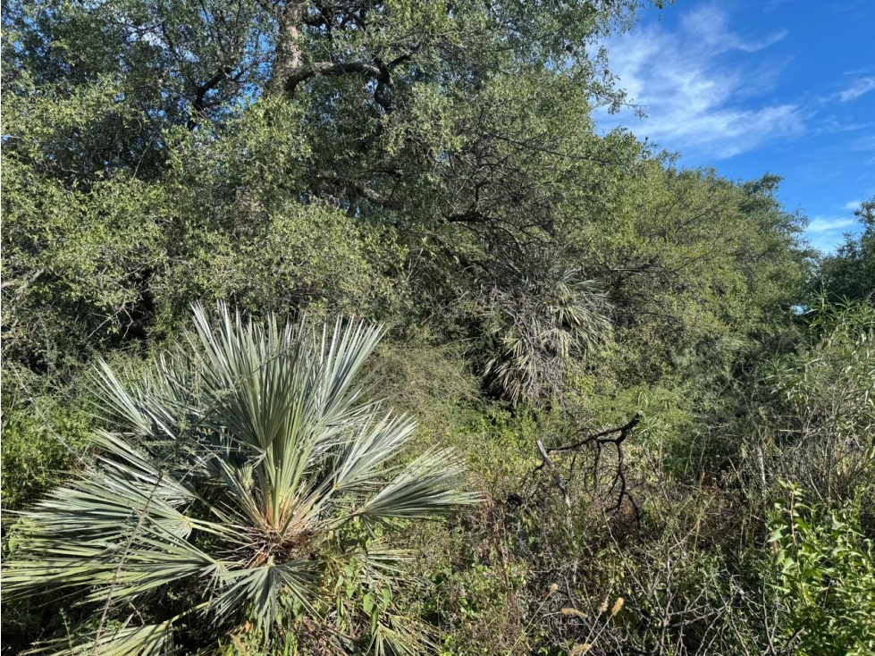 VENTA DE LOTE EN B° LA TOMA, CAPILLA DEL MONTE - 2