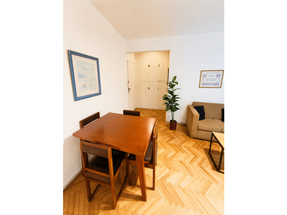 Un ambiente apto vivienda o profesional en pleno Centro - 1