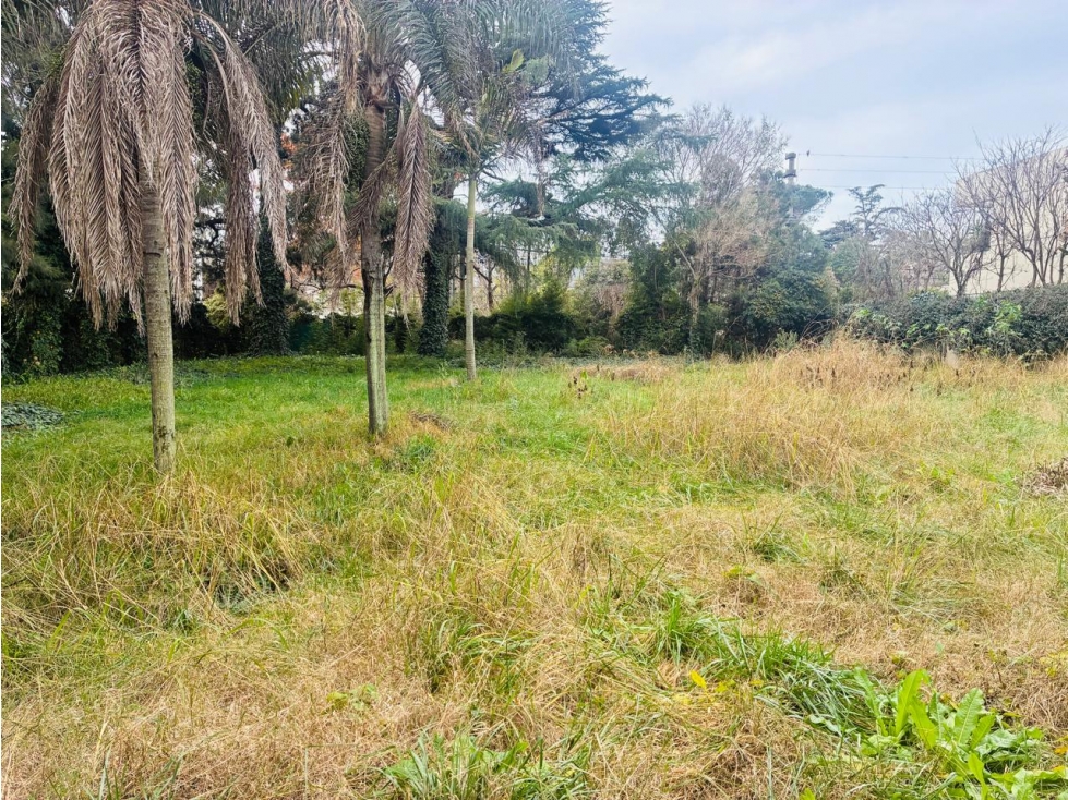 LOTE VENTA LOMAS DE SAN ISIDRO - 3