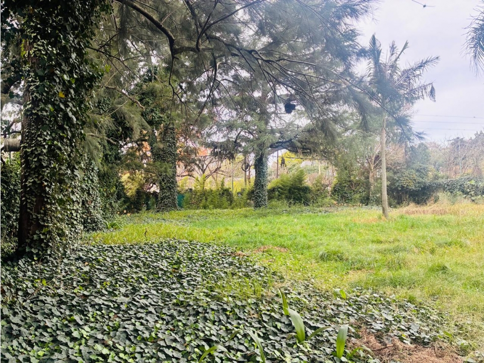LOTE VENTA LOMAS DE SAN ISIDRO - 4