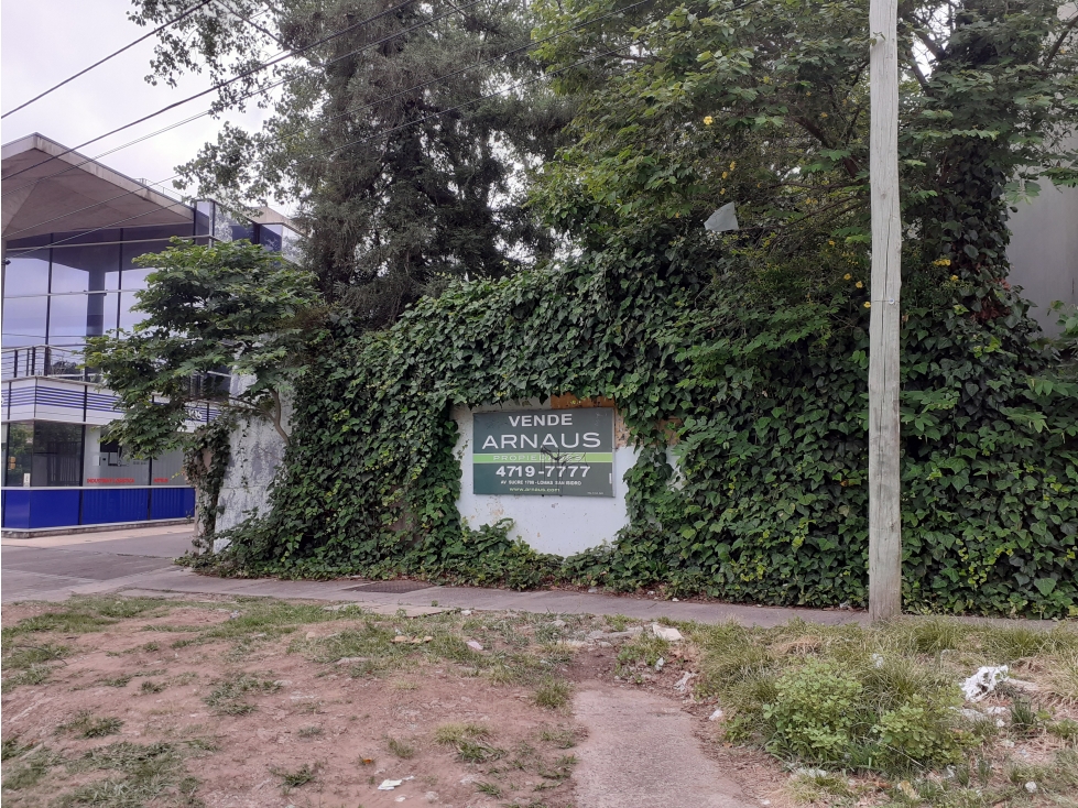 LOTE COMERCIAL EN LOMAS DE SAN ISIDRO - 3