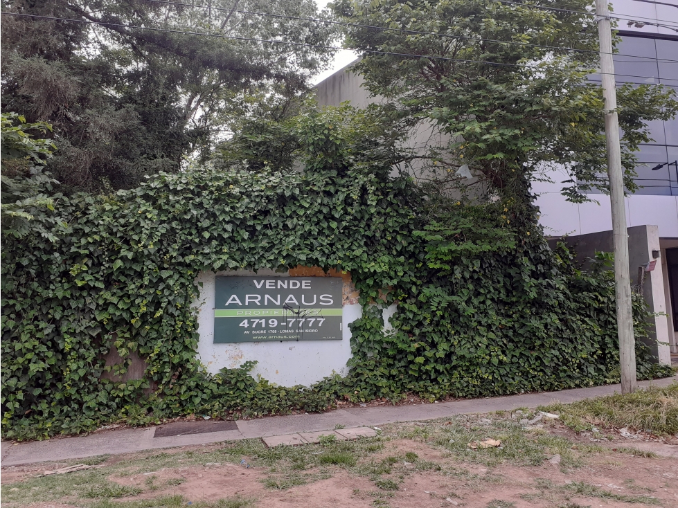 LOTE COMERCIAL EN LOMAS DE SAN ISIDRO - 2