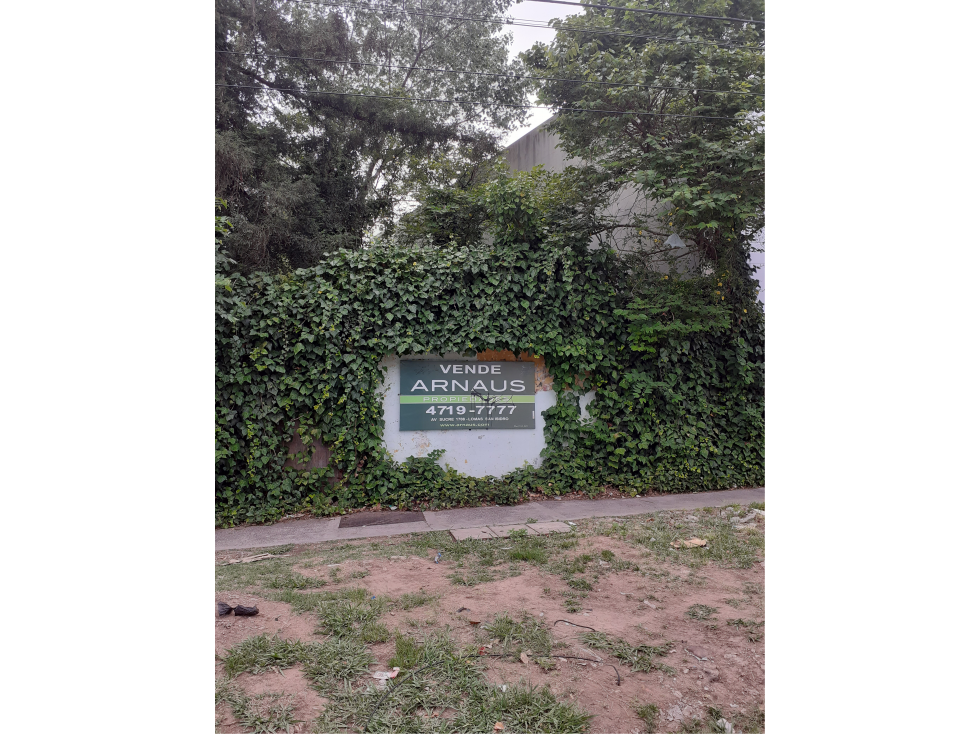 LOTE COMERCIAL EN LOMAS DE SAN ISIDRO - 1