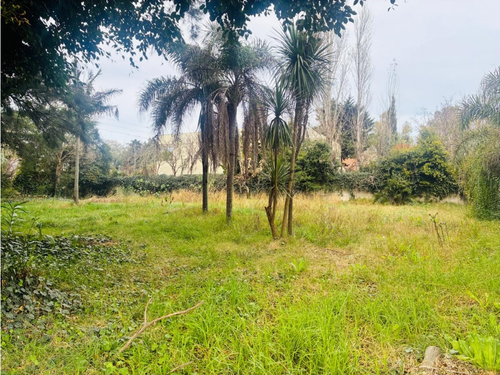 LOTE VENTA LOMAS DE SAN ISIDRO - 2