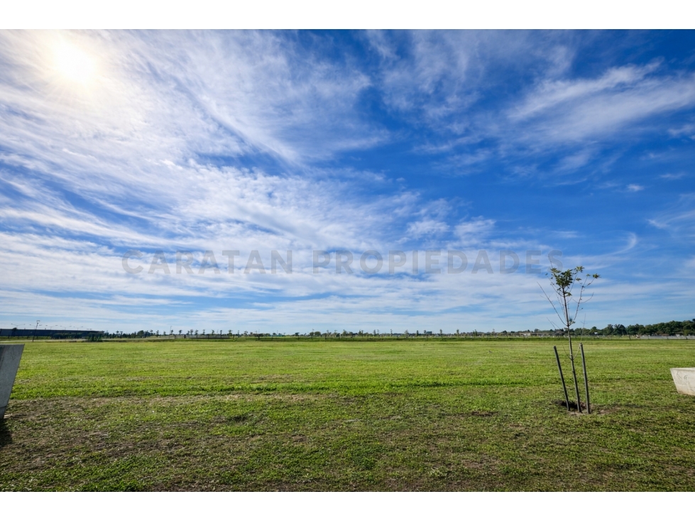 Terreno en Venta en Vida Lagoon - 1045m2 - 5