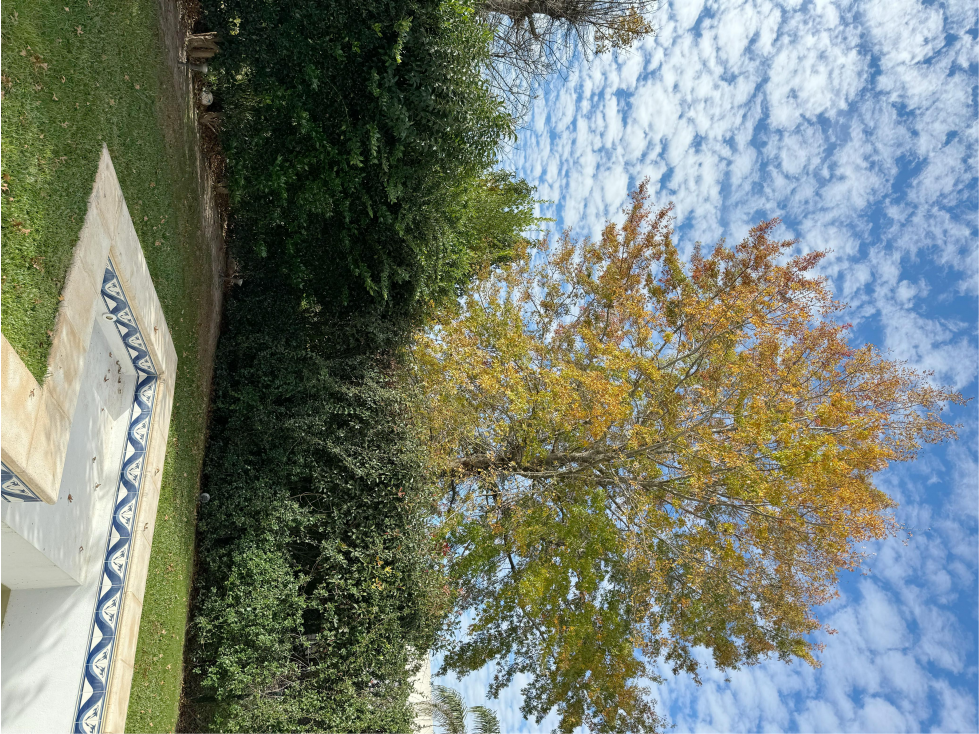 IMPORTANTE PROPIEDAD EN VENTA CADAQUES - 2