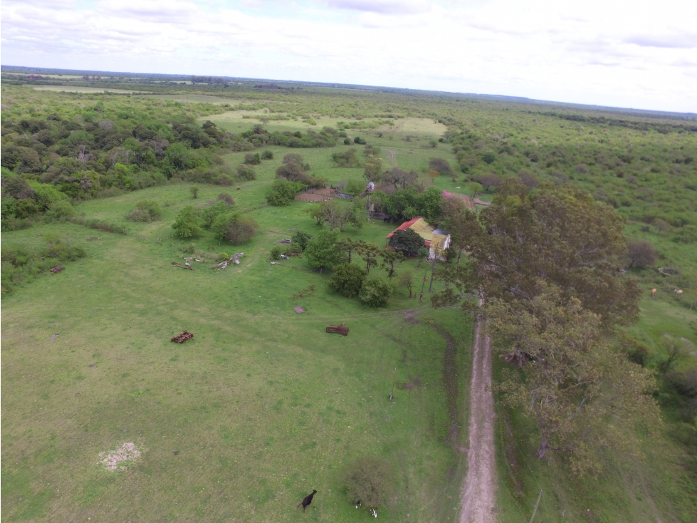 VENTA - CAMPO GANADERO CON CHACRA Y MONTE - SAN GUSTAVO, DTO. LA PAZ - 1