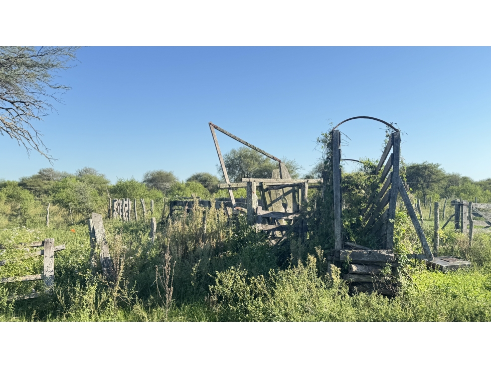 CAMPO GANADERO EN VENTA - 118 HAS- BOVRIL, DPTO LA PAZ - 6