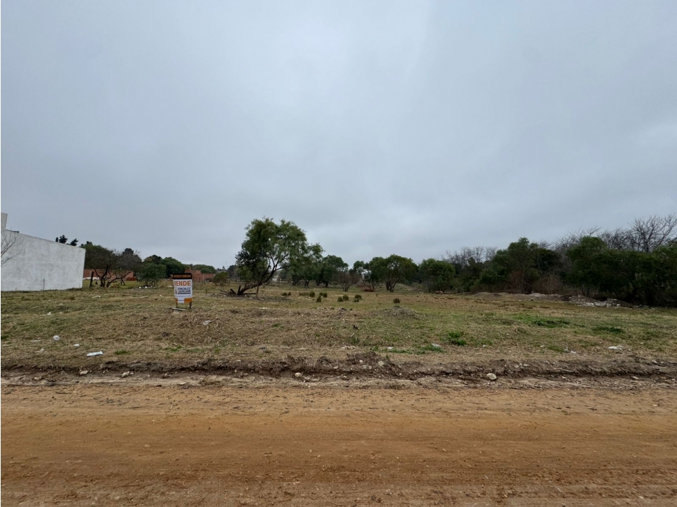 Gran oportunidad amplio Lote en San Benito - 4
