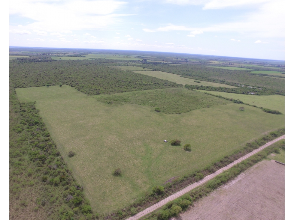 VENTA - CAMPO GANADERO CON CHACRA Y MONTE - SAN GUSTAVO, DTO. LA PAZ - 3