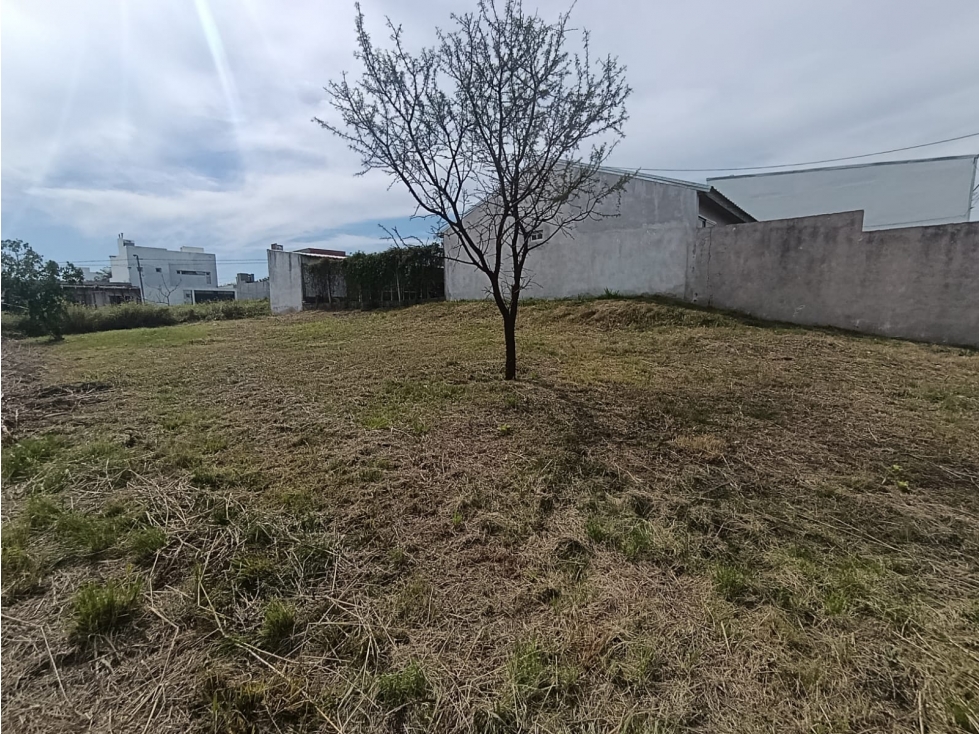 VENTA TERRENO 10 x 30 Loteo "Las Tipas" CALLE CHACHO PEÑALOZA - 1