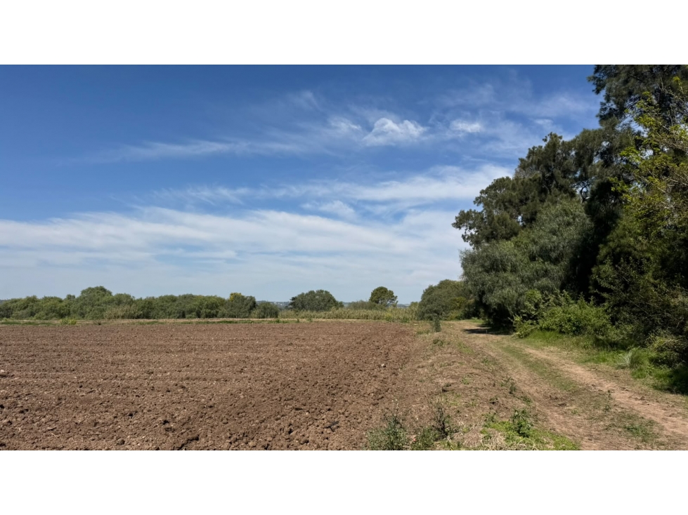 Oportunidad Única: Importante Terreno en Esquina. - 2