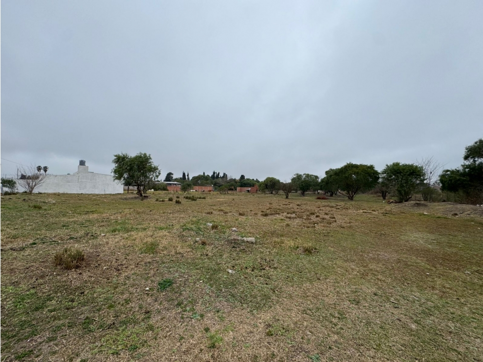 Gran oportunidad amplio Lote en San Benito - 5