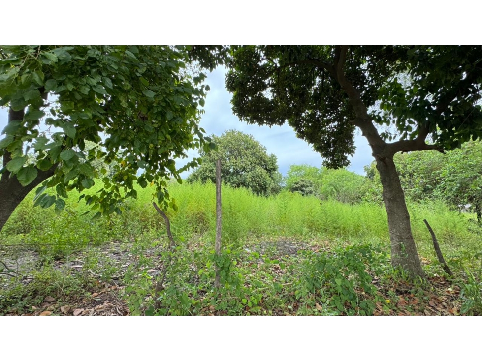 VENTA! LOTE EN BALBÍN Y ZANNI - 2