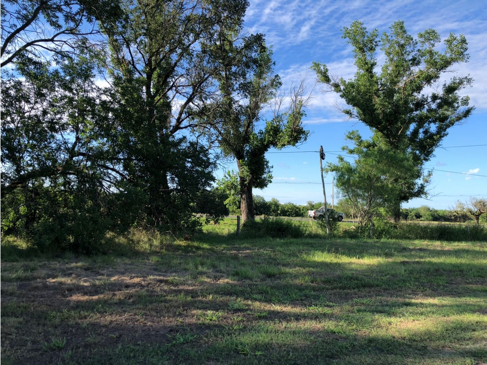 Venta de terreno con galpón, frente a Ruta 12. Sup. 4465 m2. - 4
