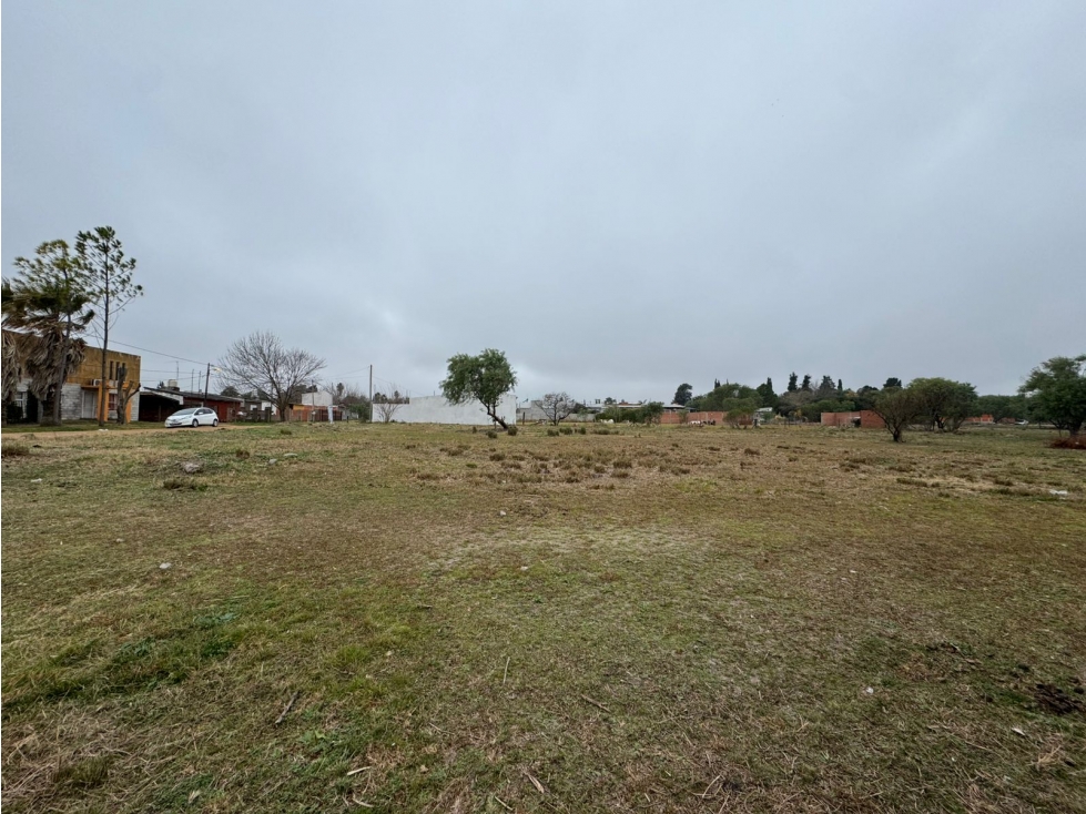 Gran oportunidad amplio Lote en San Benito - 6