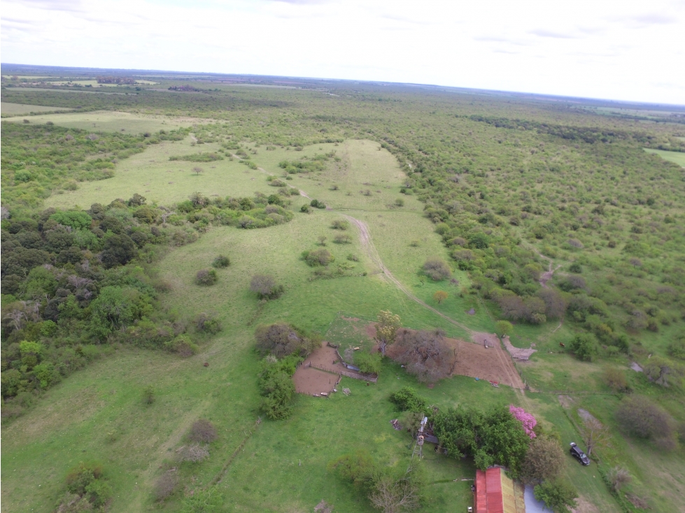 VENTA - CAMPO GANADERO CON CHACRA Y MONTE - SAN GUSTAVO, DTO. LA PAZ - 2
