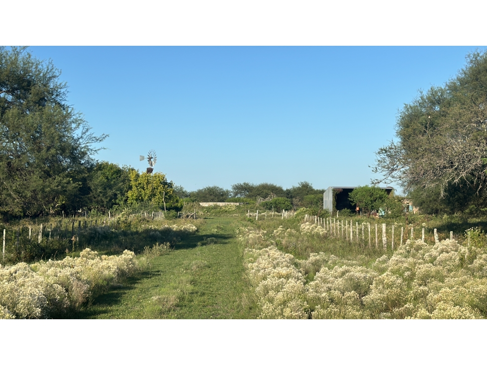 CAMPO GANADERO EN VENTA - 118 HAS- BOVRIL, DPTO LA PAZ - 2