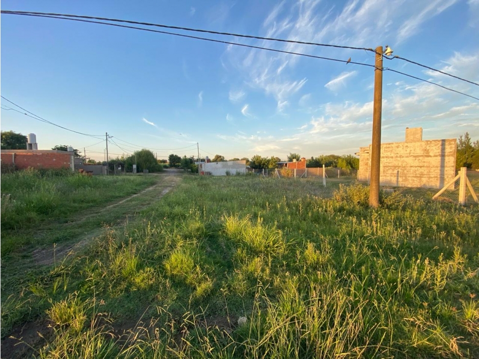 Lote en Esquina en Sauce Montrull. - 3