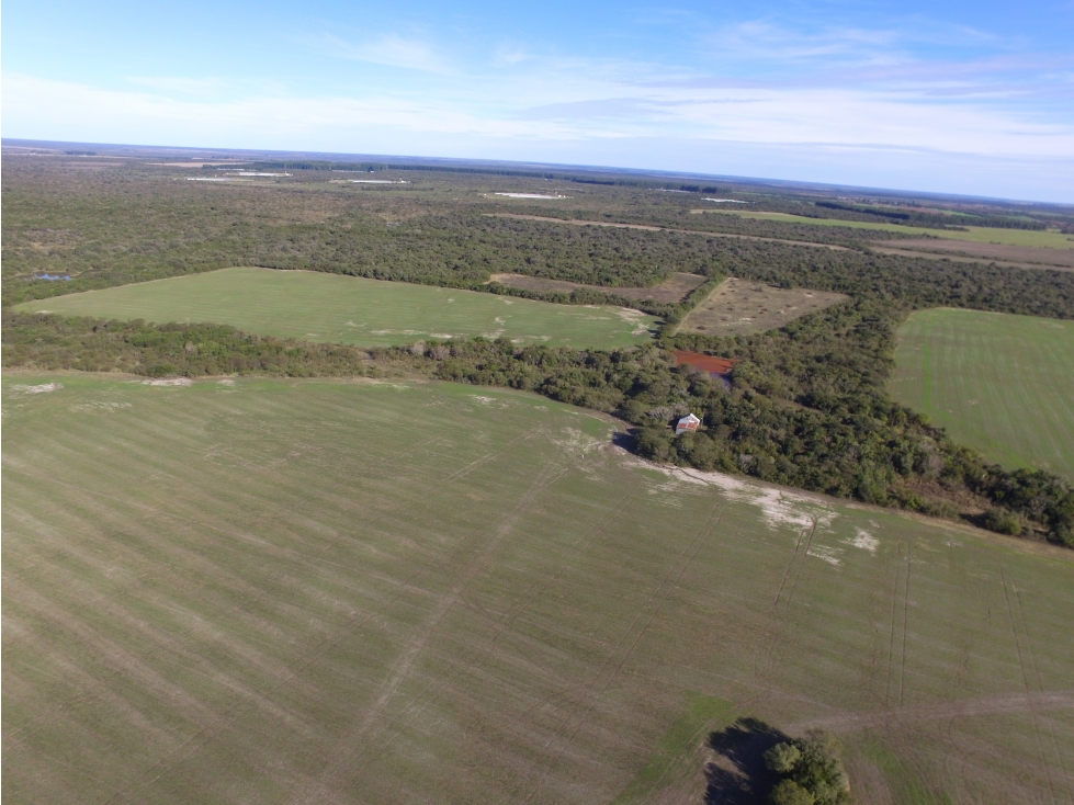 EN VENTA CAMPO MIXTO 70 HAS EN SANTA ELENA CON MEJORAS - 6