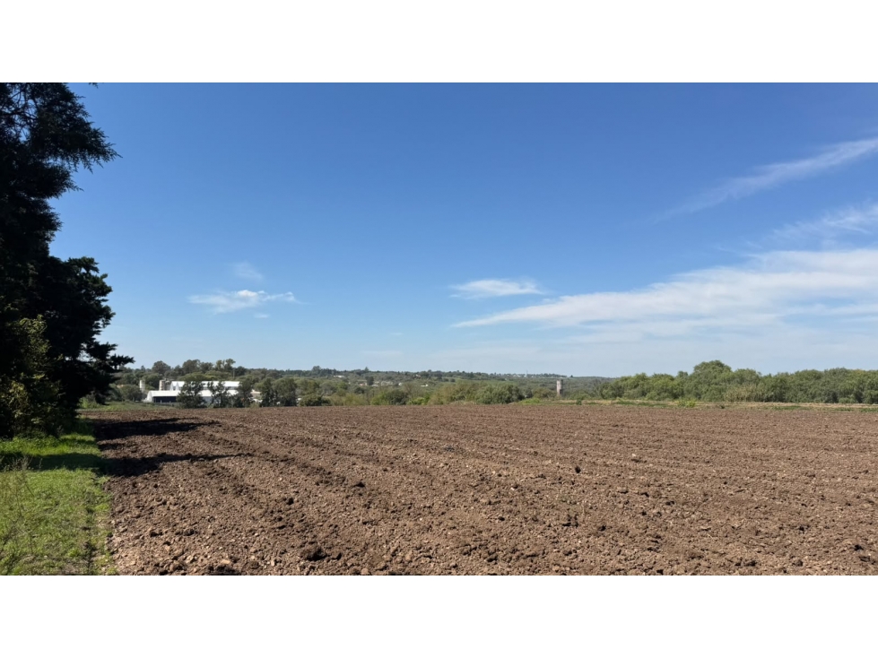 Oportunidad Única: Importante Terreno en Esquina. - 3