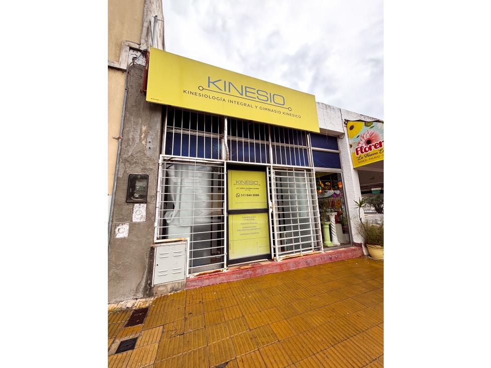 EN VENTA DOS CASAS Y DOS LOCALES COMERCIALES EN CALLE PERÚ - 2