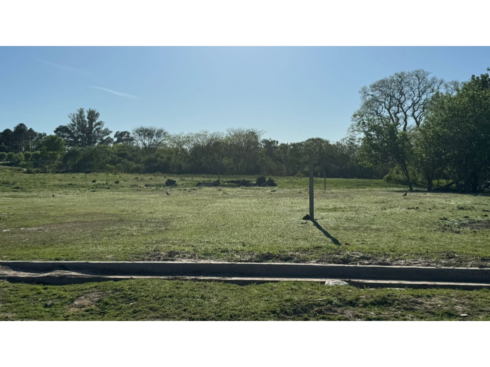 VENTA DE LOTE EN ZONA ALMAFUERTE Y LONDERO - 3