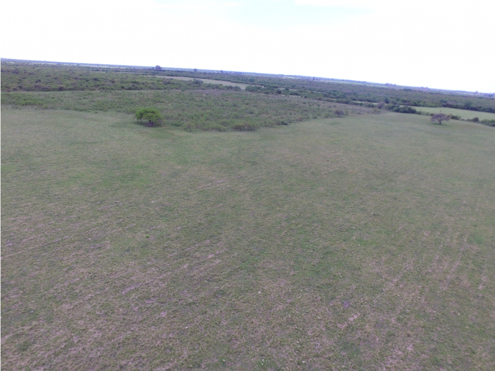 VENTA - CAMPO GANADERO CON CHACRA Y MONTE - SAN GUSTAVO, DTO. LA PAZ - 5