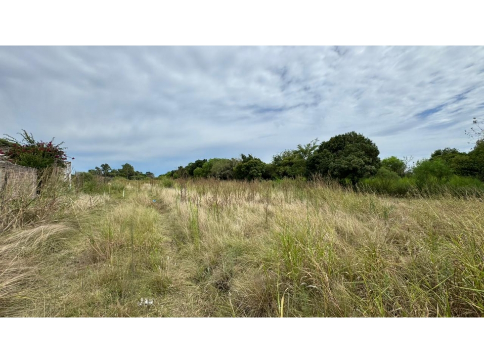 VENTA! LOTE EN BALBÍN Y ZANNI - 4