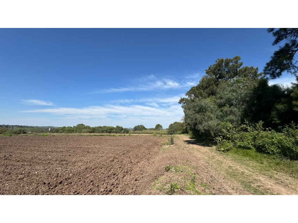 Oportunidad Única: Importante Terreno en Esquina. - 4