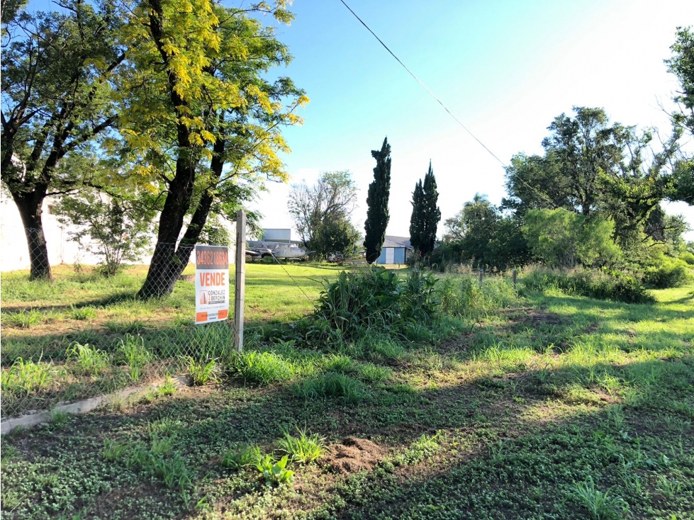 Venta de terreno con galpón, frente a Ruta 12. Sup. 4465 m2. - 5