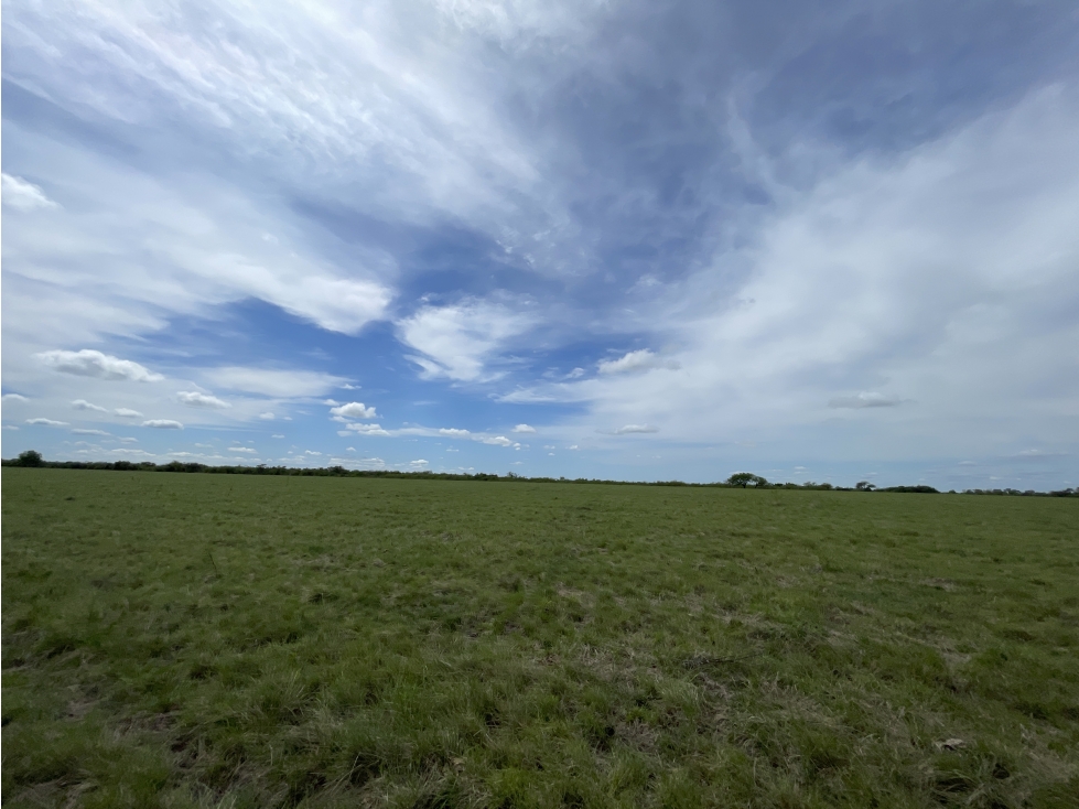 VENTA - CAMPO GANADERO CON CHACRA Y MONTE - SAN GUSTAVO, DTO. LA PAZ - 6