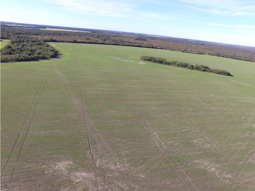 EN VENTA CAMPO MIXTO 70 HAS EN SANTA ELENA CON MEJORAS - 5