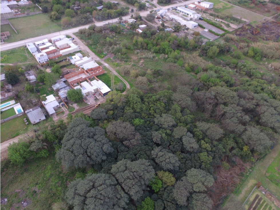 HECTAREAS EN VENTA! IDEAL INVERSION Y LOTEO! - 3