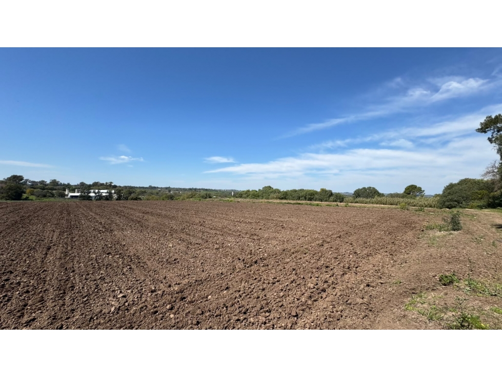 Oportunidad Única: Importante Terreno en Esquina. - 5