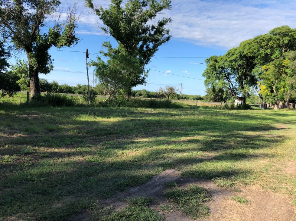 Venta de terreno con galpón, frente a Ruta 12. Sup. 4465 m2. - 6