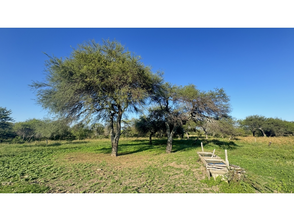 CAMPO GANADERO EN VENTA - 118 HAS- BOVRIL, DPTO LA PAZ - 3