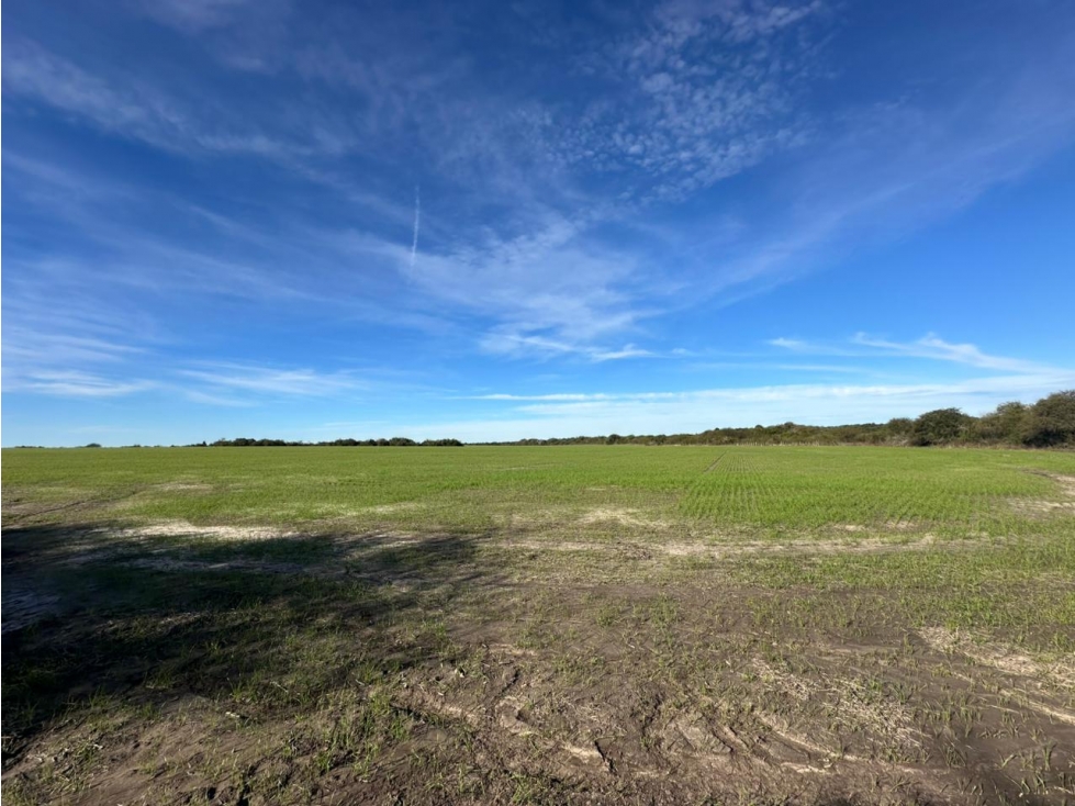 EN VENTA CAMPO MIXTO 70 HAS EN SANTA ELENA CON MEJORAS - 1