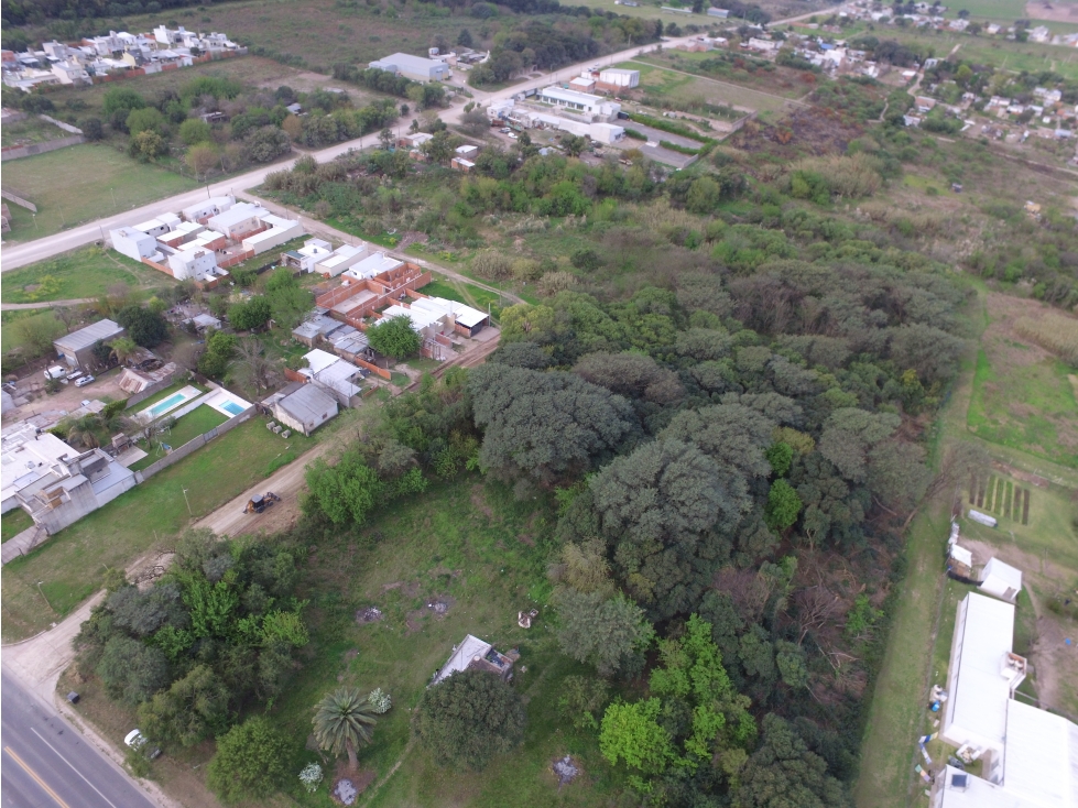 HECTAREAS EN VENTA! IDEAL INVERSION Y LOTEO! - 4