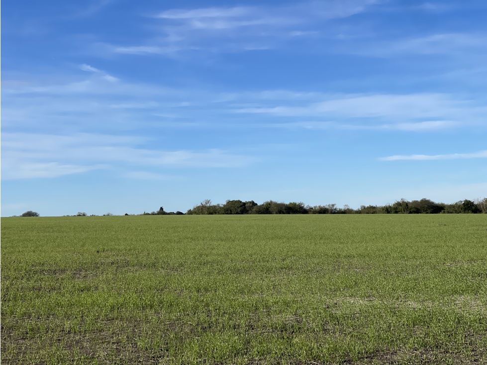 EN VENTA CAMPO MIXTO 70 HAS EN SANTA ELENA CON MEJORAS - 2