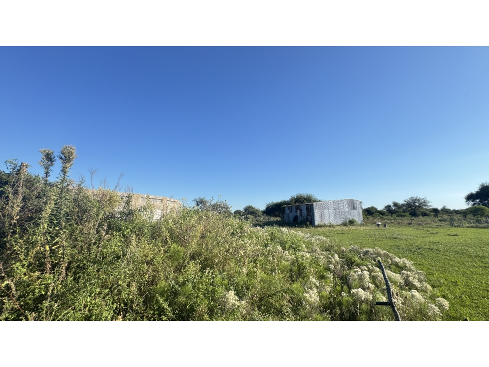 CAMPO GANADERO EN VENTA - 118 HAS- BOVRIL, DPTO LA PAZ - 4