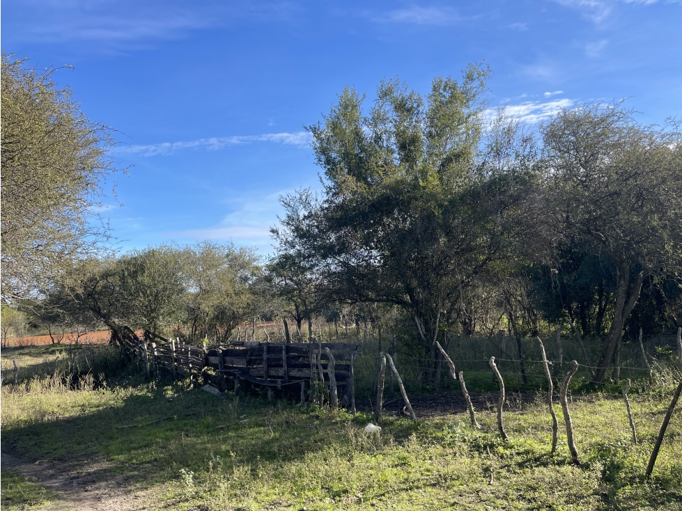EN VENTA CAMPO MIXTO 70 HAS EN SANTA ELENA CON MEJORAS - 4