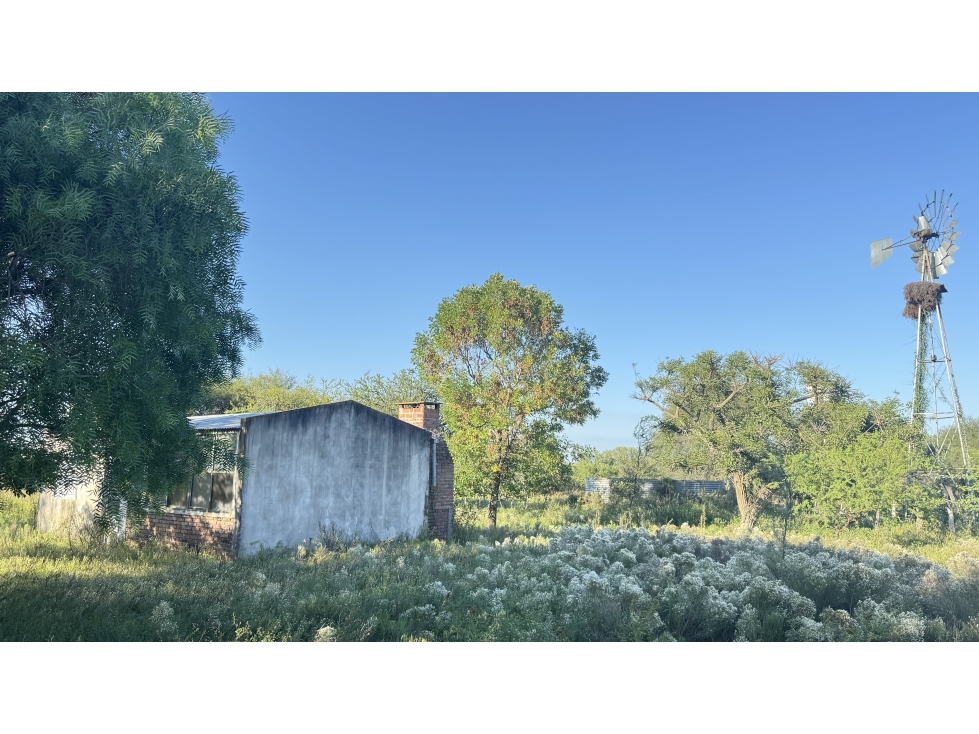 CAMPO GANADERO EN VENTA - 118 HAS- BOVRIL, DPTO LA PAZ - 5