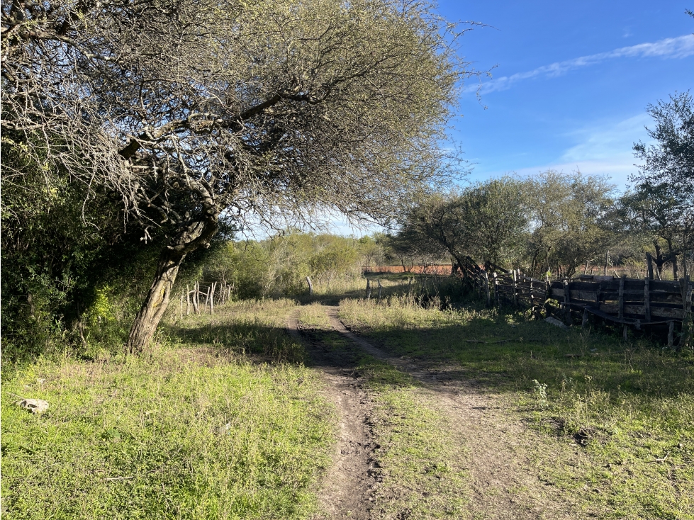 EN VENTA CAMPO MIXTO 70 HAS EN SANTA ELENA CON MEJORAS - 3