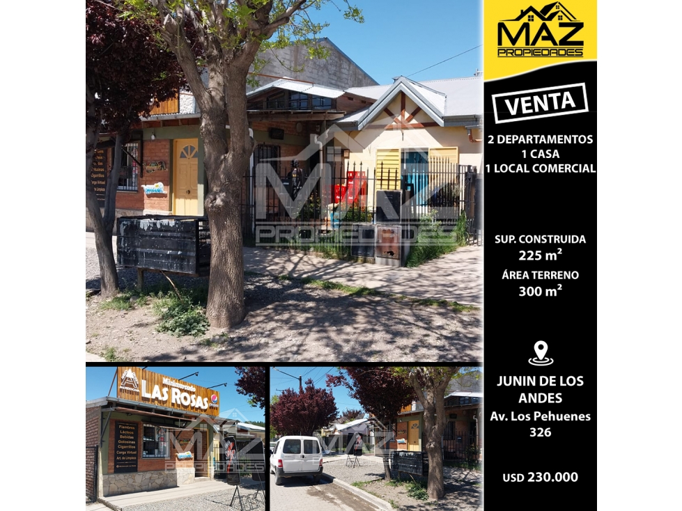 2 DEPARTAMENTOS, 1 CASA y 1 LOCAL COMERCIAL | Av. Los Pehuenes 326 - 1