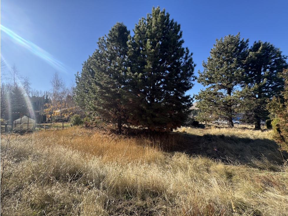 LOTE 1.000M2 | EL HÍPICO - 2