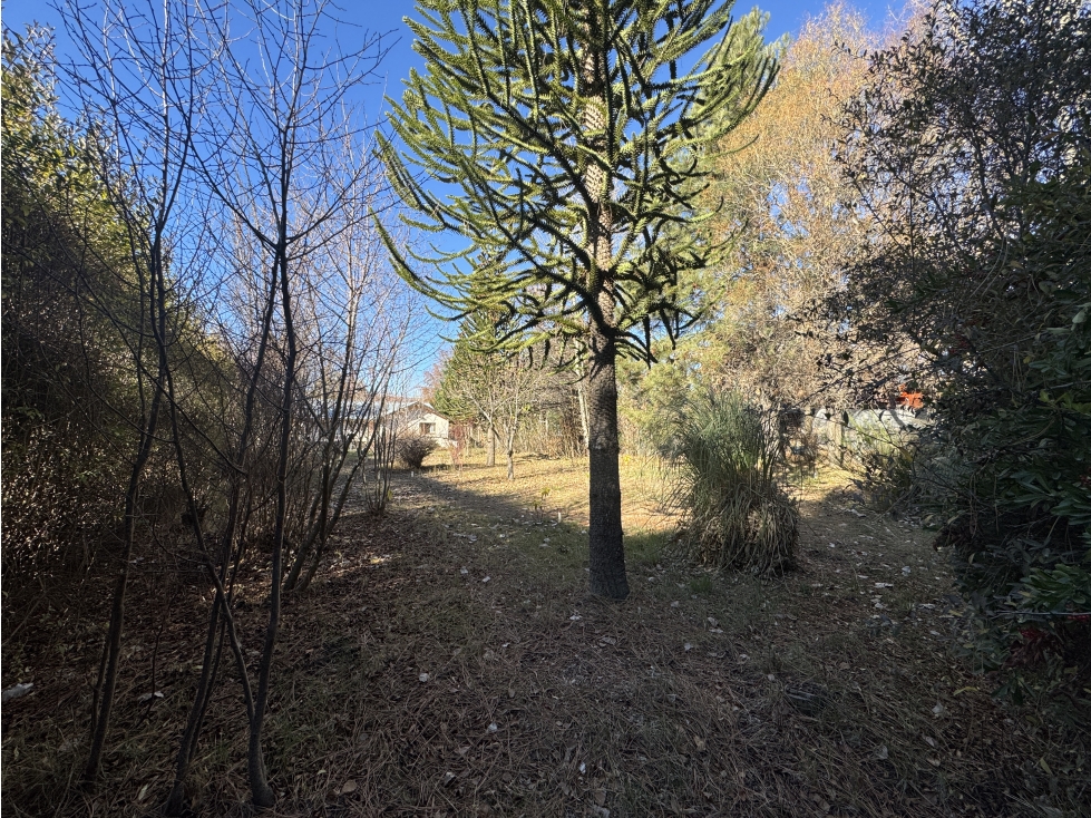 LOTE 218m2 | JARDINES DEL CHIMEHUIN - 2