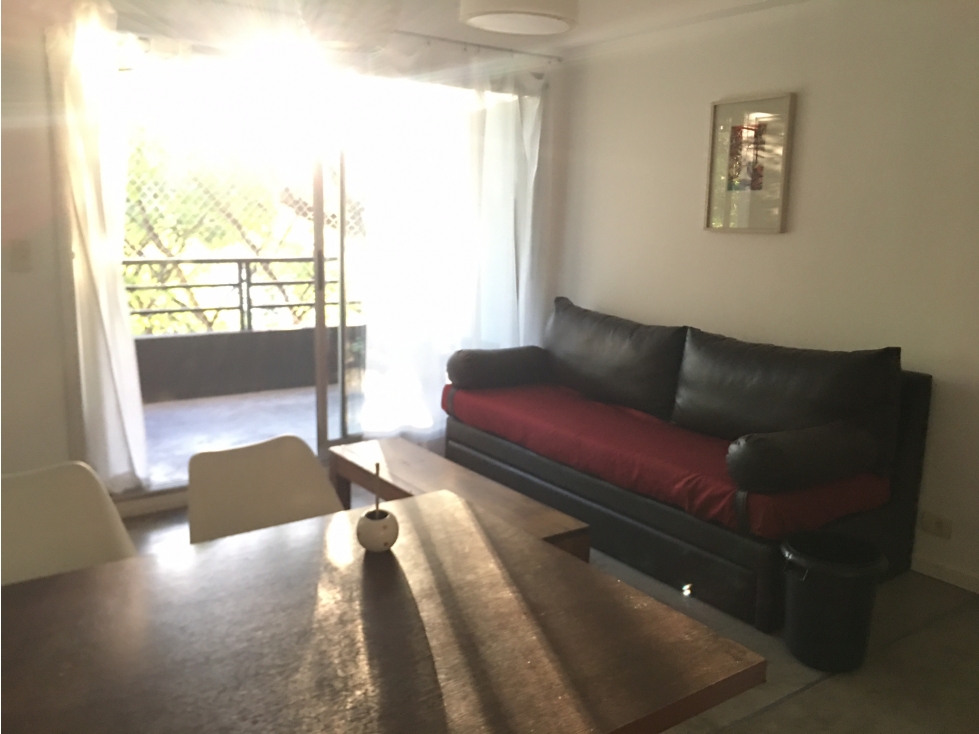 ALQUILER PALERMO SOHO 2 AMB — foto 6