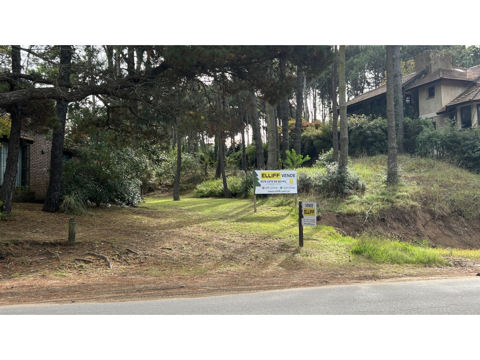 LOTE SOBRE SHAW EN EL GOLF NUEVO - 2