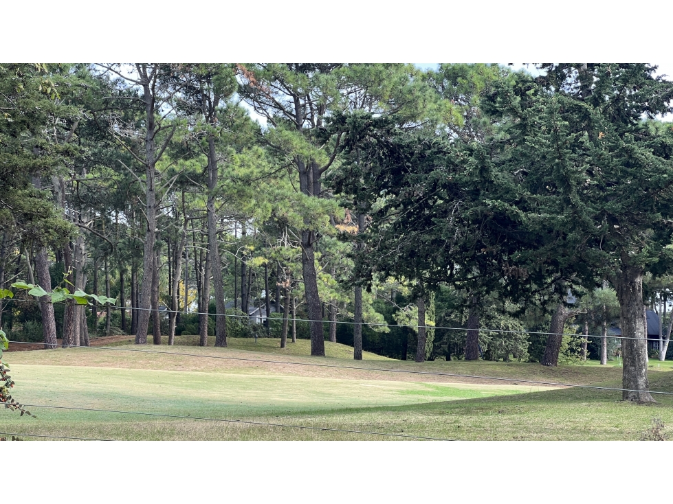 LOTE SOBRE SHAW EN EL GOLF NUEVO - 6